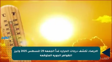 الأرصاد تكشف درجات الحرارة غداً الجمعة 29 أغسطس 2025 وأبرز الظواهر الجوية المتوقعة